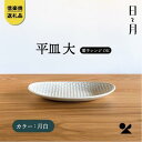 【ふるさと納税】【信楽焼・明山】平皿　大（月白）ht-15