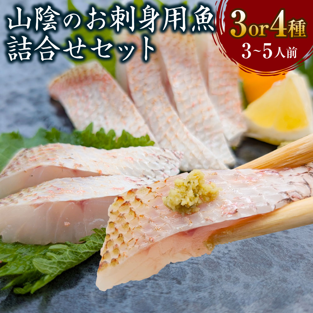 【ふるさと納税】山陰のお刺身用魚 詰合せ セット 3種 or 4種 3～5人前 ノドグロ のどぐろ 赤睦 アカムツ 真フグ 真ふぐ ふぐ フグ ハタハタ はたはた 鯖 サバ さば 真サバ フィレ 刺身 刺し身 冷凍【配送不可地域：離島】【1226483】【1237472】兵庫県 新温泉町 送料無料