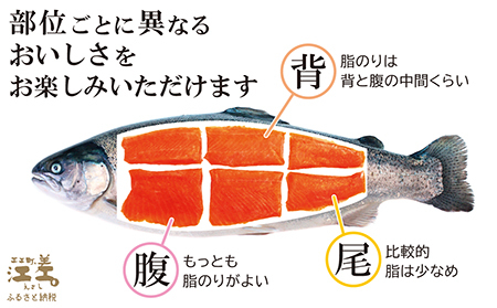 北海道産 サーモンのルイベ〈冷凍刺身〉お刺身用ブロック 3個　日本海 かもめ島海面養殖　純国産 ブランドサーモン『江さしっ子 繁虎』　とろける脂　活締め　浜のかあさん手作り　生食可　冷凍　小分け　個包
