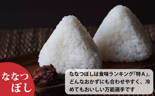 【令和7年産】ＪＡ当麻　特Ａななつぼし無洗米　5kg×6回コース ≪定期便5ヶ月≫【A-018】