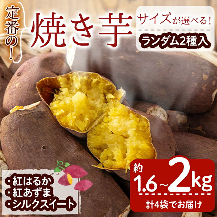 【ふるさと納税】【サイズが選べる】焼き芋定番セット（約1.6kg or 2kg）焼き芋 やきいも 紅はるか シルク 紅あずま さつまいも さつま芋 農薬不使用 炭素循環農法 野菜 国産 鹿児島県産【irodori野菜もり畑】