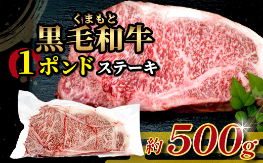【年内お届け】くまもと黒毛和牛 1ポンド ステーキ 約500g※12月19日～26日発送※  黒毛 和牛 1 pound ステーキ 500g ブランド牛 上質 常備 冷凍 熊本県  年内発送 年内配送
