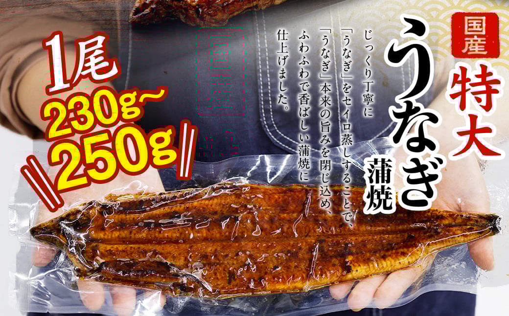 国産 うなぎ 蒲焼 2尾 （460 ～ 500g）と 特製タレ 2個 セット 鰻 ウナギ 蒲焼き うなぎ蒲焼 セイロ蒸し せいろ蒸し タレ付 冷凍 父の日
