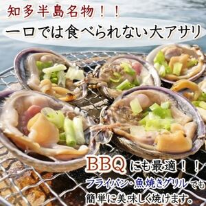 岬だより 知多半島名物 天然大あさり 半割り冷凍1kg [配送不可地域：離島]