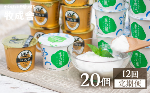 ＜8月から寄附額改定＞《定期便》牧成舎 ヨーグルト20個セット 12ヶ月定期便 生クリームヨーグルト 季の風 2種類