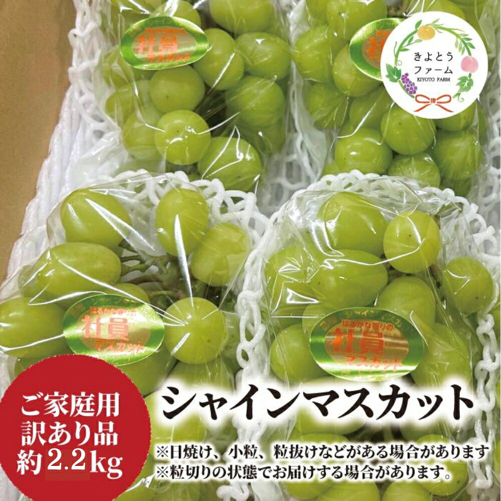 【ふるさと納税】 訳ありだけど、甘～いシャインマスカット/約2.2kg (岡山県産)【2026年9月以降順次発送予定】【配送不可地域：離島】ぶどう ブドウ 葡萄 岡山 シャインマスカット 先行予約 フルーツ 果物 真庭市
