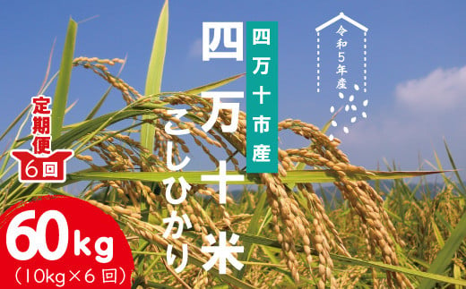 23-947．【令和5年産・6回定期便】四万十産 四万十米（コシヒカリ）10kg（5kg×2袋）×6回（計60kg）