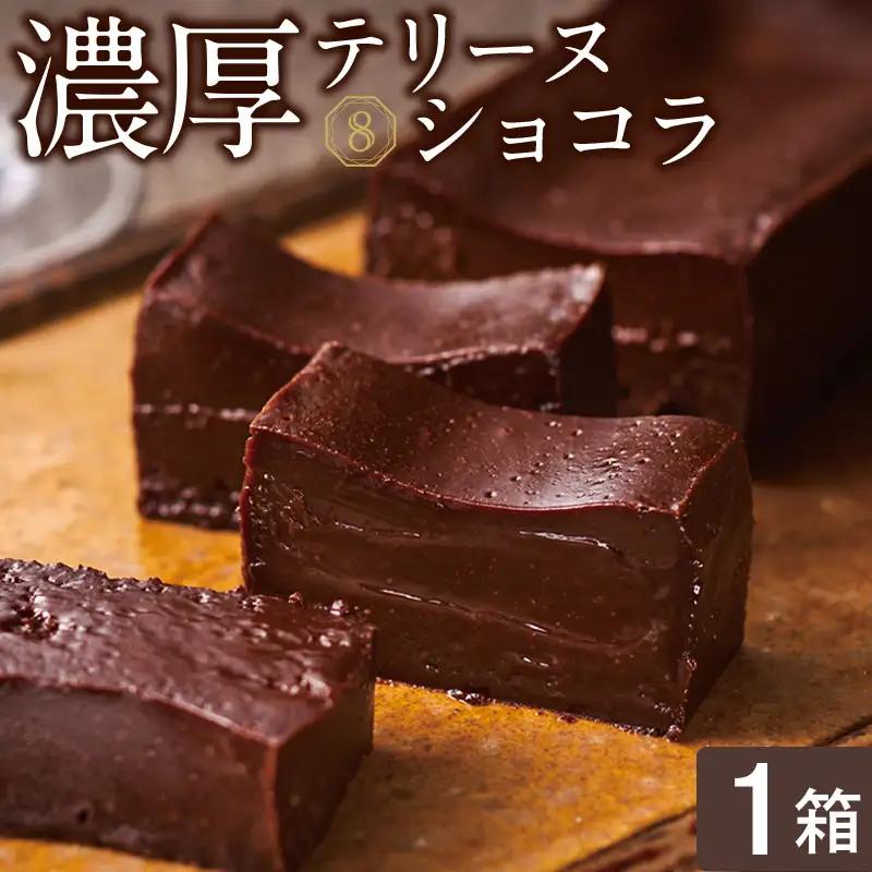 2522 オクタス テリーヌショコラ 1箱 KN021-026-01 テリーヌ ショコラ チョコケーキ ベルギー チョコレート スイーツ デザート 生チョコ ガトーショコラ フォンダンショコラ 財宝 ふるさと納税 鹿児島 鹿屋市 おすすめ ランキング プレゼント ギフト