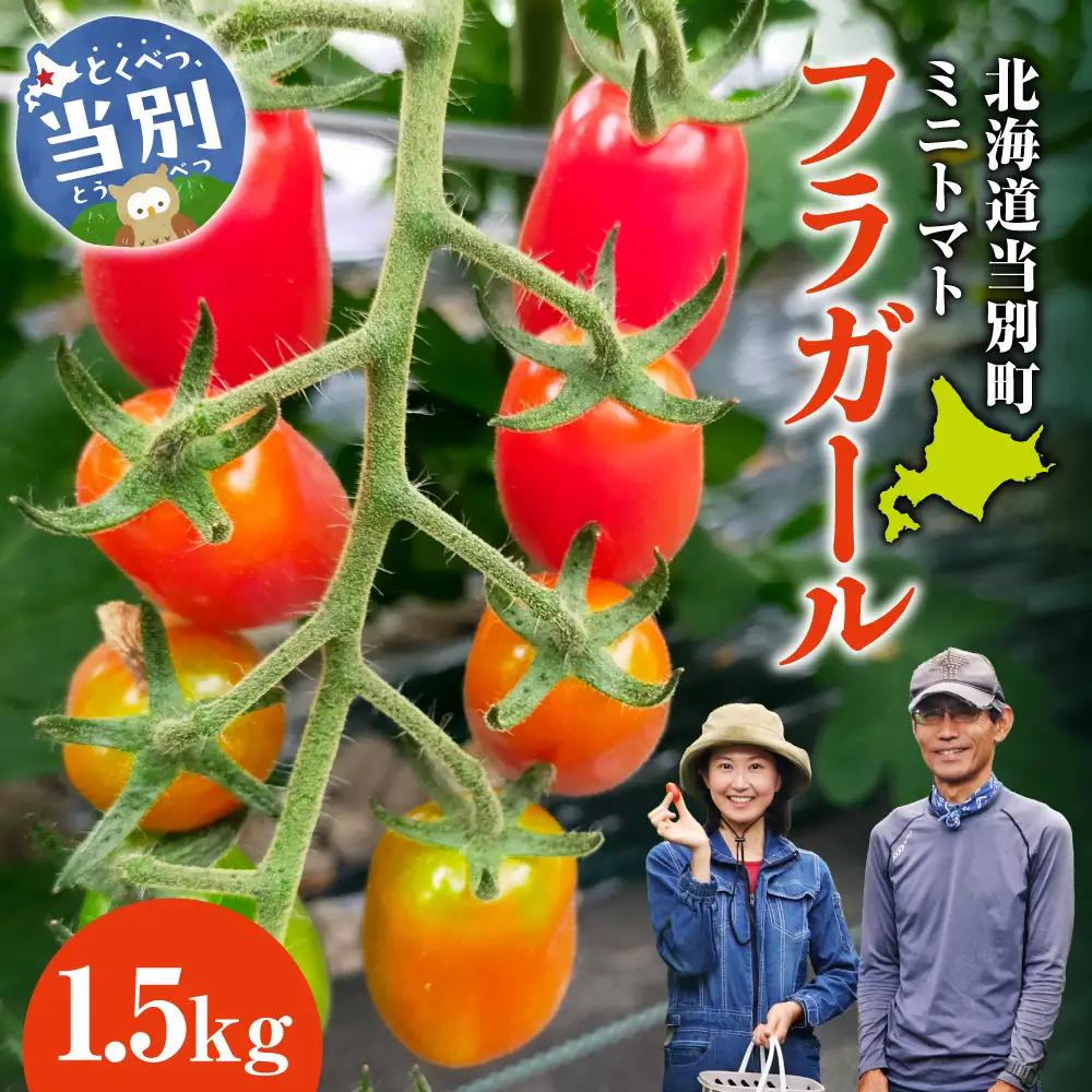 北海道当別町産化学農薬不使用ミニトマト フラガール1.5kg | 北海道産 トマト 野菜 大容量 北海道 当別町