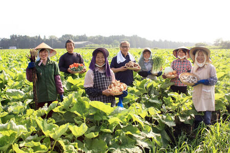 鹿屋満足　期間限定特別ﾗﾍﾞﾙ『かごしまの粉末ごぼう茶』5個ｾｯﾄ 644-1