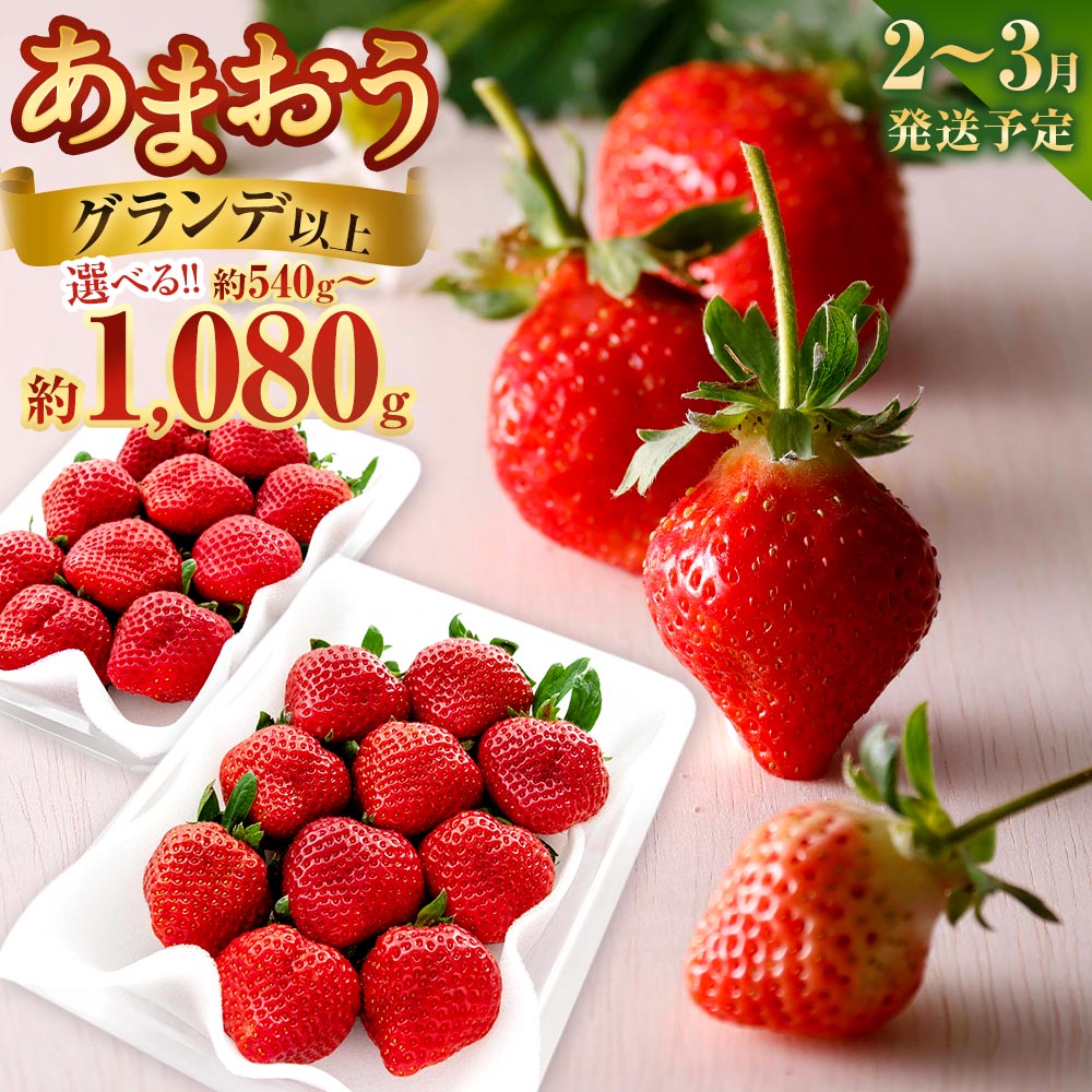 【ふるさと納税】＜選べる内容量＞福岡県産苺「あまおう」グランデ以上 計540g（270g×2パック） / 計1080g（270g×4パック） あまおう いちご イチゴ 苺 フルーツ くだもの 果物 果実 デザート 冷蔵 国産 福岡県産 太宰府市 送料無料 【2027年2月下旬～3月下旬発送予定】