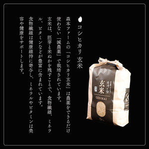 【令和7年度産】 減農薬コシヒカリ 玄米 5kg / 米 玄米 減農薬 綾部市 / 森本ファーム［BSDH010］