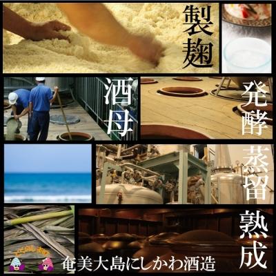ふるさと納税 徳之島町 奄美本格黒糖焼酎パックギフト　島のナポレオン(1.8L×2本) |  | 02