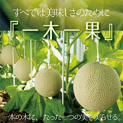 【毎月定期便】クラウンメロン(白等級) 中玉1玉 全3回【配送不可地域：離島・北海道・沖縄県】