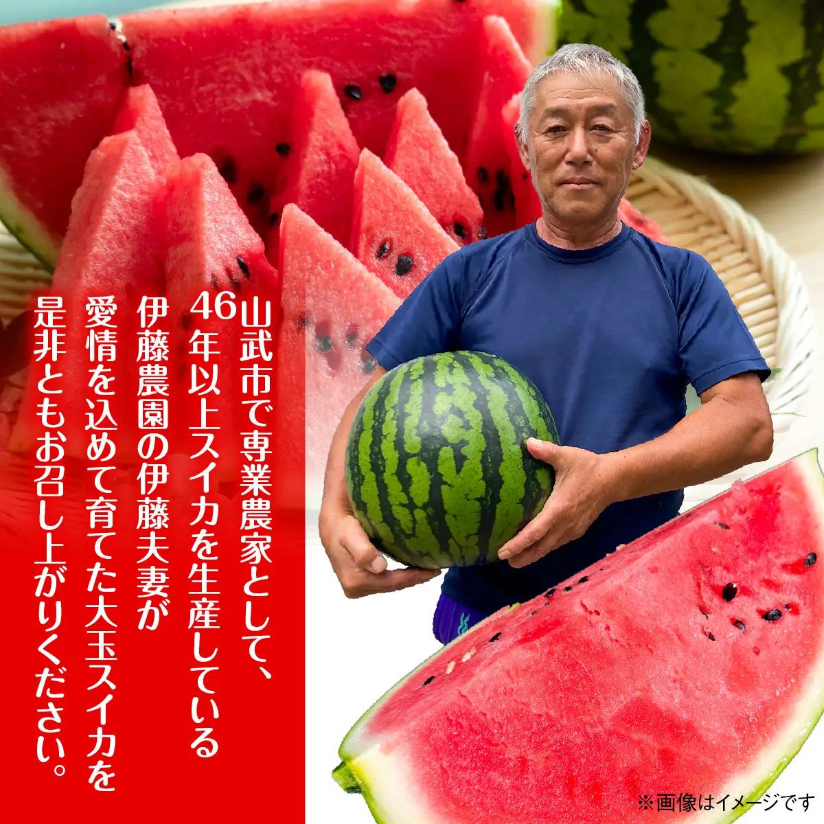 【先行予約・2027年6月上旬～発送】千葉県山武市産の大玉スイカ約12㎏（Ｌサイズ２個セット）SMDA001