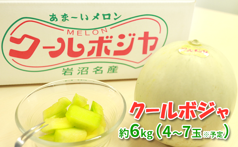 幻のメロン クールボジャ 4～7玉 6kg セット 詰め合わせ メロン めろん 果物 くだもの フルーツ 旬の果物 旬のフルーツ 季節の果物 季節のフルーツ 希少品種 宮城 宮城県 岩沼市