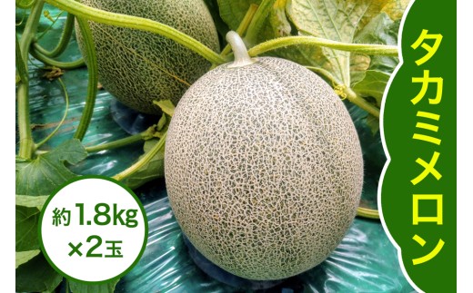 タカミ メロン 約1.8kg×2玉｜2026年 令和8年 青森 津軽 つがる産 タカミ メロン めろん 特産 ジューシー 糖度 フルーツ 果物 ギフト 産直 青肉メロン 夏メロン [0858]