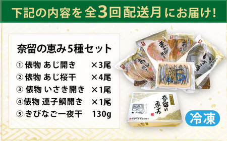 【全3回定期便】奈留の恵み(干物5種詰め合わせ) アジ キビナゴ イサキ 連子鯛 キダイ 一夜干し 五島市/奈留町漁業 [PAT005]