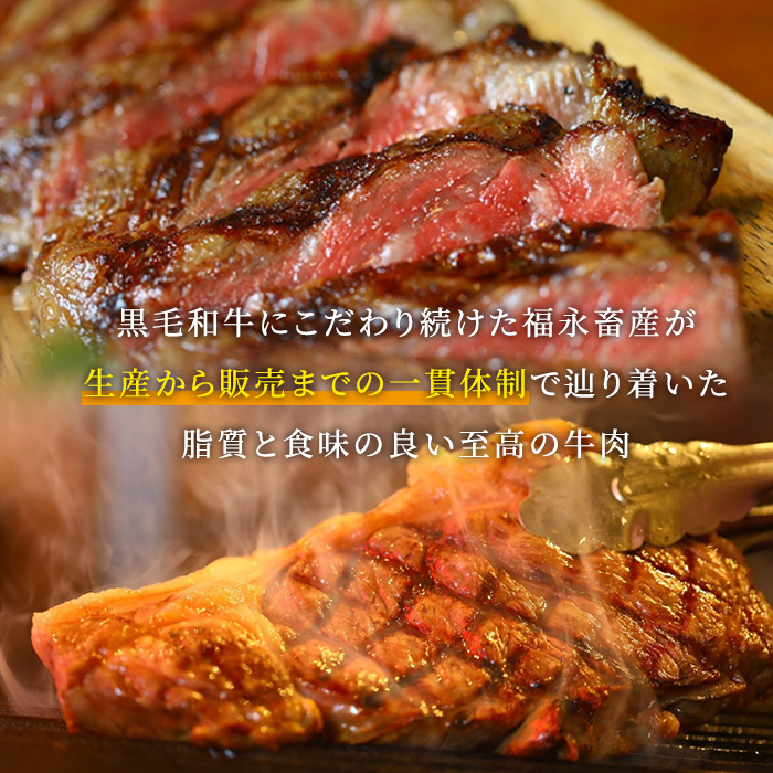 s689 さつま福永牛 鹿児島黒毛和牛 ハンバーグ(計約1.62kg・約180g×9P) 鹿児島 国産 九州産 黒毛和牛 牛肉 ひき肉 ハンバーグ 惣菜 おかず 冷凍ハンバーグ 冷凍 電子レンジ 簡単
