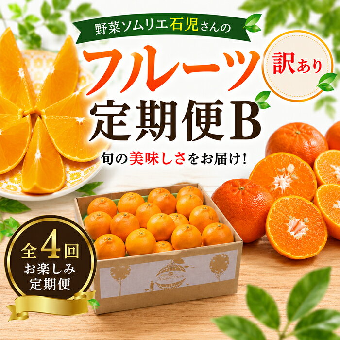 【ふるさと納税】 野菜ソムリエ石児さんの訳ありフルーツ定期便B（1月・2月・3月・4月）／ ミカン 柑橘類 定期便 訳あり 先行予約 せとか アンコール 1月 2月 3月 4月 フルーツ ＜103-802＞