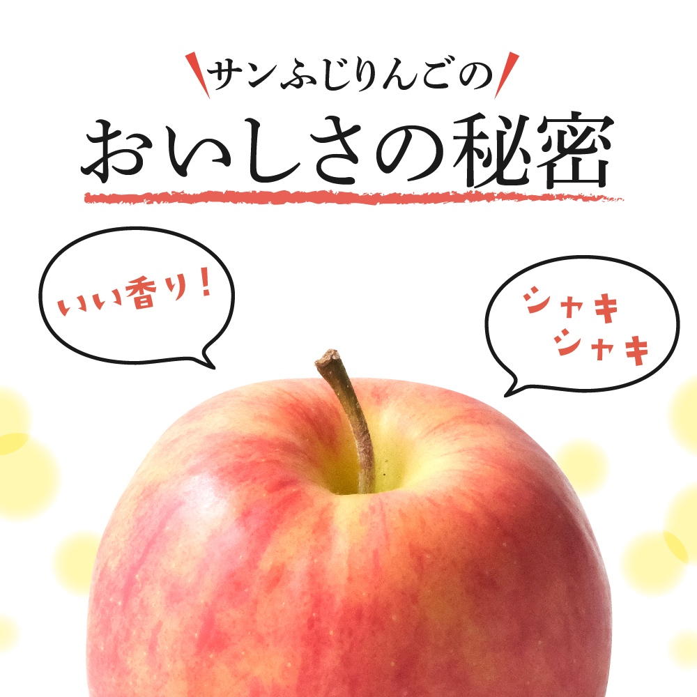 【2026年3月前半発送】 りんご 約3kg ≪丸福≫ サンふじ 【光センサー選果 糖度13度以上】 青森県産