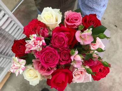 【定期便：12カ月】國枝バラ園から直送！Flower Bouquet（20本の花束）濃いピンク系　　薔薇 ばら バラ 花束 お祝い プレゼント 誕生日 ギフト 贈答 記念日 クニエダ株式会社 AN-0