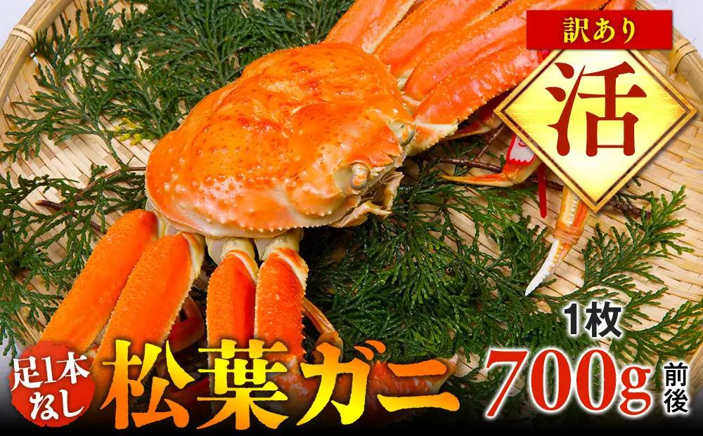 【活】足1本なし 訳あり 松葉ガニ 中1枚（700g前後）| カニ 松葉ガニ タグ付き 【着日指定不可】※2026年11月上旬～2027年3月下旬頃に順次発送予定 | カニ 松葉ガニ