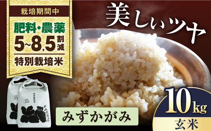 
            【先行予約/令和7年産新米】みずかがみ  10kg（5kg× 2） 玄米  特別栽培米  長浜市/株式会社お米の家倉 [AQCP055] 米 お米 玄米  10kg  みずかがみ 特別栽培米  滋賀県産 長浜市産 こめ 玄米 白米 精米 お米 新米 食品 ふるさと納税 国産 炊きたて 米ギフト もちもち ブランド米  食卓 美味しい 産地直送 節約 人気
          