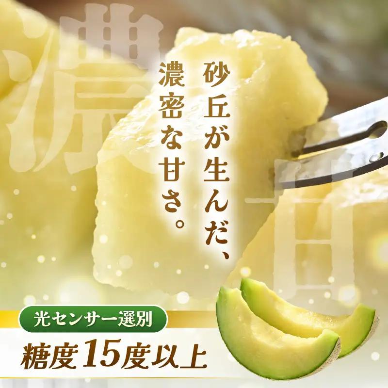 先行予約  アールスメロン (緑肉) 1玉 糖度15度以上 2026年9月上旬以降順次発送予定 [A-22104]