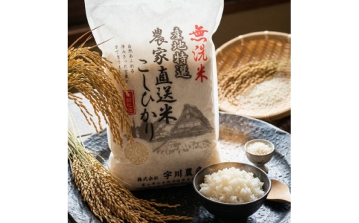 ＜令和7年産＞慣行栽培コシヒカリ(無洗米)　精米　10kg【1570274】