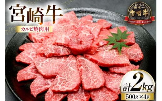 牛肉 宮崎牛 カルビ 焼肉用 500g 4p 計 2kg [ローカルブランディング 宮崎県 日向市 452061413] 冷凍 小分け 黒毛和牛 黒毛 A4 A5 焼肉 焼き肉 BBQ  バーベキュー 国産