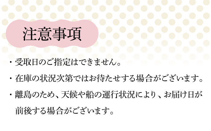 【全6回定期便】【五島の素材で作られた】手づくり アイス 3種 セット 計12個【マルマス】 [RAX018]