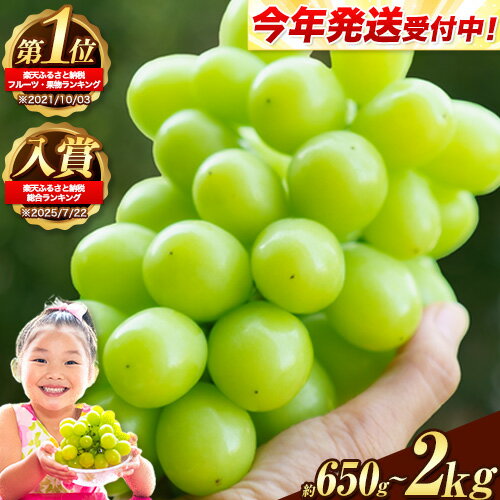 岡山県産 シャインマスカット 約1.2kg 2房 葡萄 果物 訳あり 優品 スイーツ フルーツ デザート 岡山県矢掛町《3-10営業日以内に出荷(土日祝除く)》