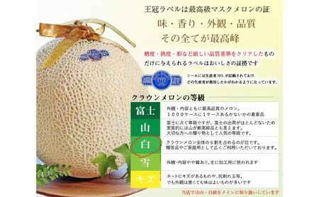 【6ヶ月定期便】クラウンメロン【並（白等級）】特大玉（1.5kg前後）3玉入り 