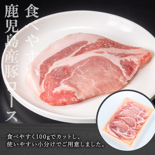 鹿児島県産 豚 ロース( 又は 肩ロース ) カツ ＆ スライス セット (合計1kg) 豚肉 【おきどき】A1069