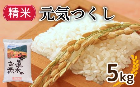 元気つくし 精米 5kg (福岡県認定地域資源) 米 5kg 人気 ブランド米 福岡県産米 産地直送 お米 おこめ こめ ゴハン メシ 飯 夕ご飯 美味しいご飯 米 白米 ライス ごはん 主食 防災 