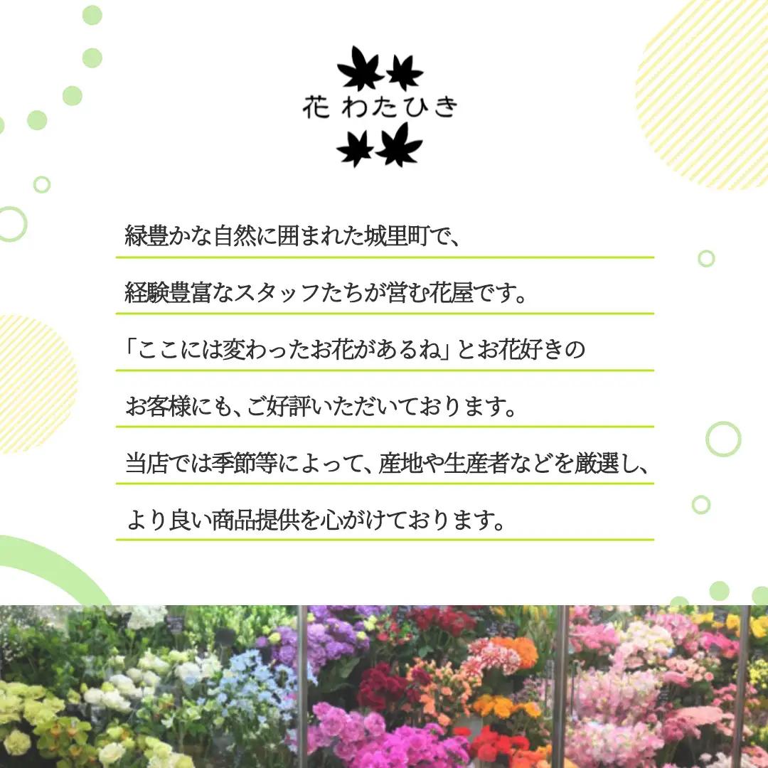 【 3ヶ月 定期便 】季節 の フラワーアレンジメント ＜ S ＞ 花 お花 季節の花 生花 記念日 誕生日 自宅用 インテリア 部屋飾り 装飾 贈答 ギフトプレゼント おしゃれ 茨城県 城里町 (B