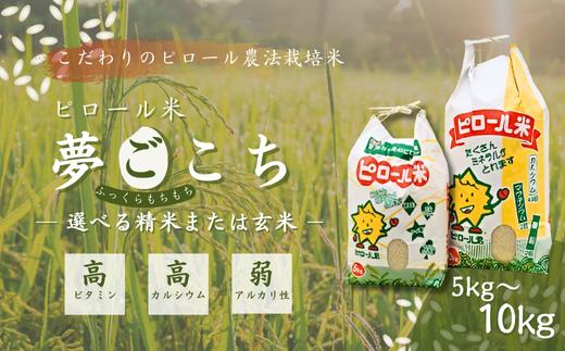 
            【令和７年産】こだわりのピロール農法栽培米　ピロール米　夢ごこち5kg or 10kg（精米または玄米）〈数量限定〉
          