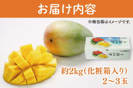 【2025年8月より順次発送】【先行予約】キーツマンゴー 2～3玉(約2kg)(化粧箱)｜沖縄県 豊見城市 マンゴー キーツマンゴー フルーツ 果物 くだもの おきなわマンゴー ギフト 贈り物 化粧箱