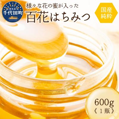 ふるさと納税 千代田町 【2026年8月発送】 はちみつ 【千代田町の蜂蜜】600g 百花蜂蜜 ch011-001-08