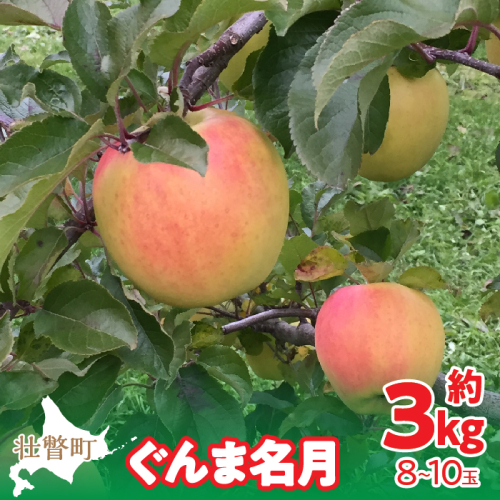 【先行予約】北海道壮瞥町産りんご「ぐんま名月」約3kg(8～10玉)<2026年11月中旬よりお届け> SBTF004