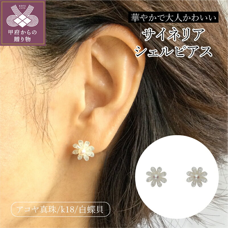 【ふるさと納税】＜ 甲府ジュエリー ＞ ピアス レディース ジュエリー アクセサリー 白蝶貝 シェル アコヤ真珠 パール K18 シンプル ギフト プレゼント ジュエリーケース付 保証書付 k118-026