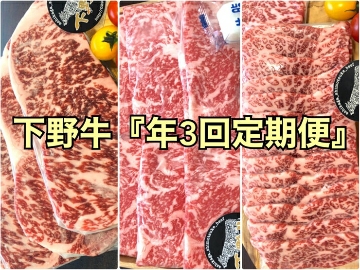【ふるさと納税】「下野牛」定期便3回コース(配送月 2月、6月、10月)【ブランド牛の肉 下野牛のお肉 調理用 たっぷりお肉 満足できる逸品 メイン料理 おかず料理 プチ贅沢 各種お肉 年3回の贅沢 栃木県 足利市 】 F7Z-1970