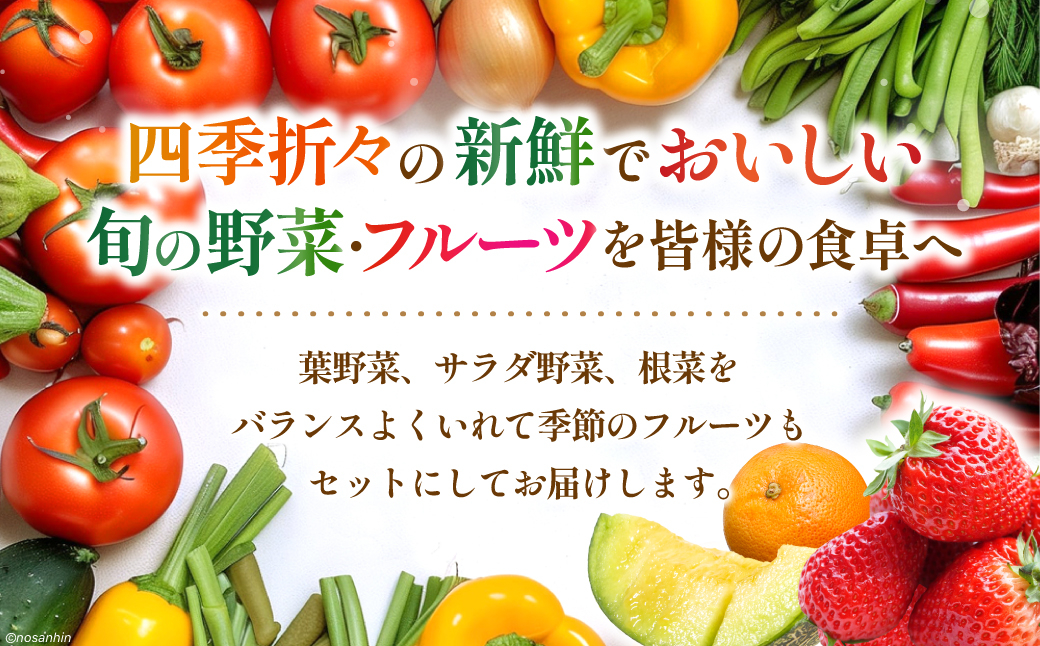 野菜 野菜セット やさい ヤサイ 新鮮 旬 果物 くだもの フルーツ 長崎