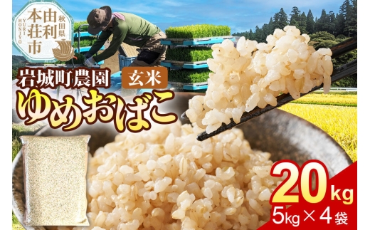 【玄米】ゆめおばこ 秋田県産 岩城町農園のゆめおばこ 20kg（5kg×4袋）令和7年産 真空パック [ゆめおばこ 米 お米 こめ 玄米 食卓 ご飯 ごはん おにぎり 秋田県 由利本荘市]