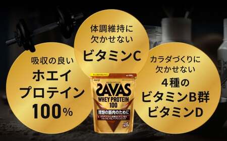 ザバス プロテイン飲み比べセットB（リッチショコラ味980g・ストロベリー風味980g）【SAVAS ザバス プロテイン 人気プロテイン 明治プロテイン 健康 健康食品 美容 ボディメイク 体づくり 