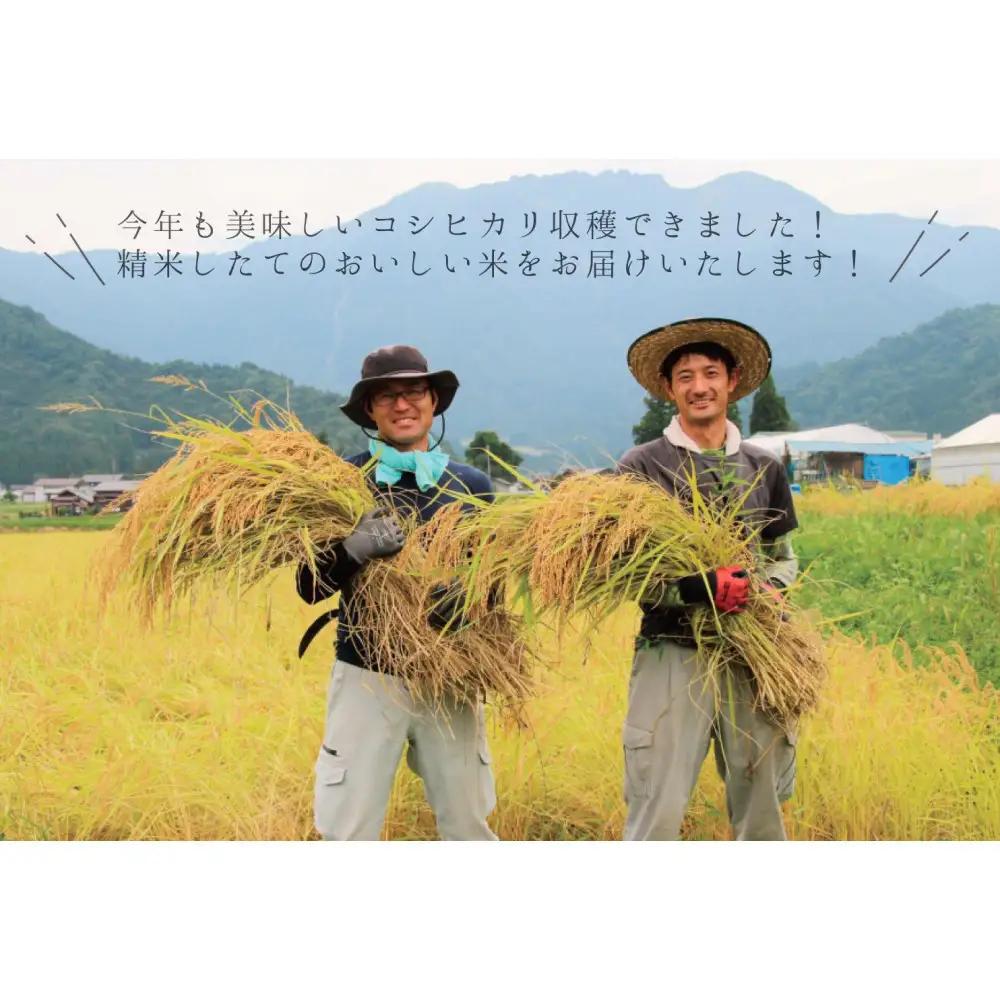 【令和８年新米予約】【お米定期便/全６回】南魚沼産コシヒカリ　無洗米４kg（２ｋｇ×２）＜5割減農薬栽培米＞｜定期便【2026年9月下旬から1ヶ月以内に順次発送予定】