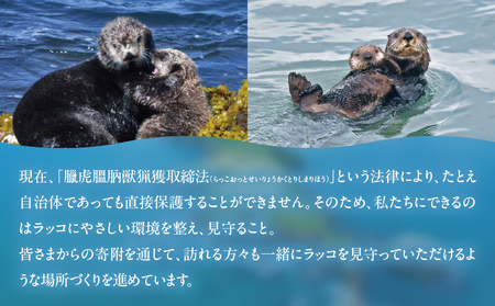 ラッコを見守る岬「きりたっぷ岬」周辺の環境整備　50000円分 返礼品なし_H0028-014