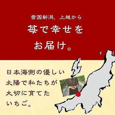 【先行予約 定期便5回】越後姫 いちご 雪国完熟 ダブル760g×5回 いちご