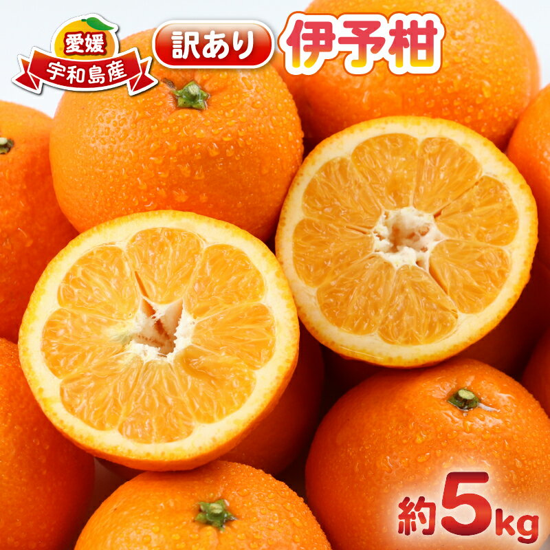 【ふるさと納税】 愛媛みかん 訳あり 伊予柑 5kg 杉本屋 わけあり 先行予約 予約受付 いよかん イヨカン 蜜柑 mikan 愛媛みかん 愛媛蜜柑 愛媛ミカン 柑橘 果物 くだもの 愛媛県産 ミカン 宇和島みかん フルーツ 数量限定 産地直送 数量限定 国産 愛媛 宇和島 B010-143006